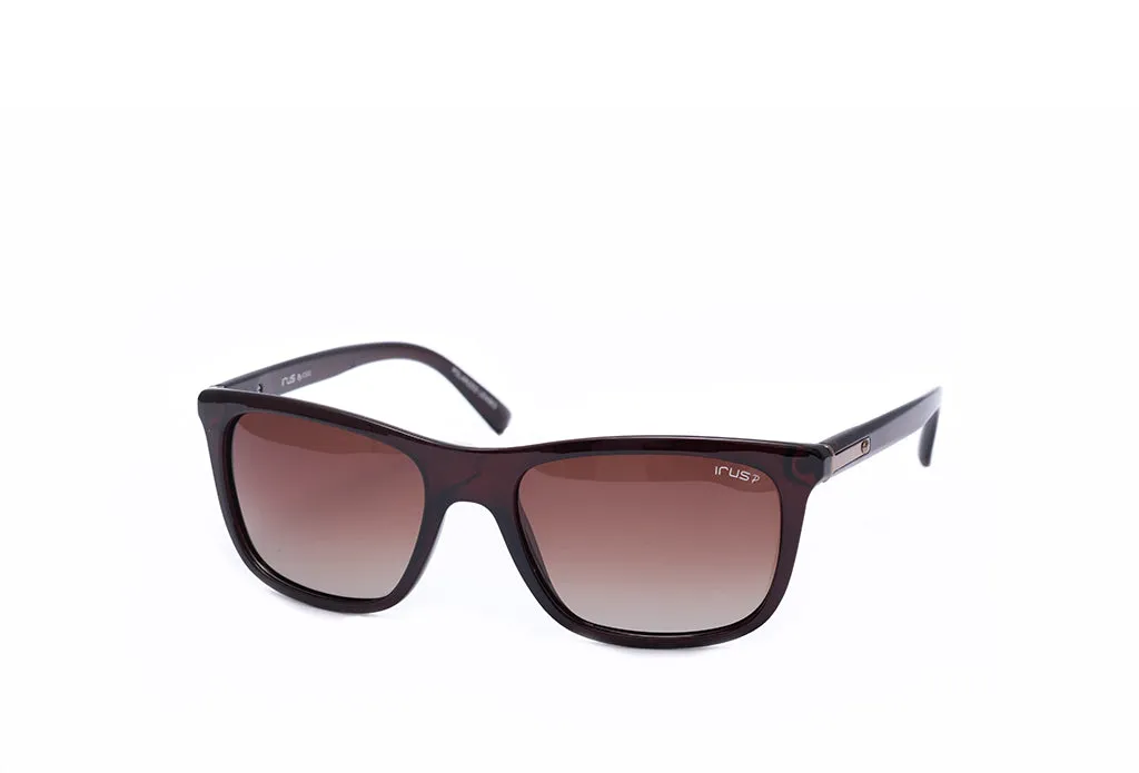 Irus 1073 Sunglass