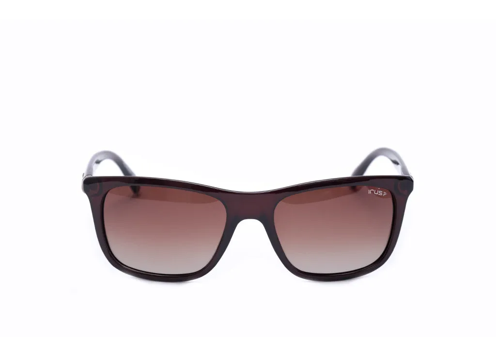Irus 1073 Sunglass